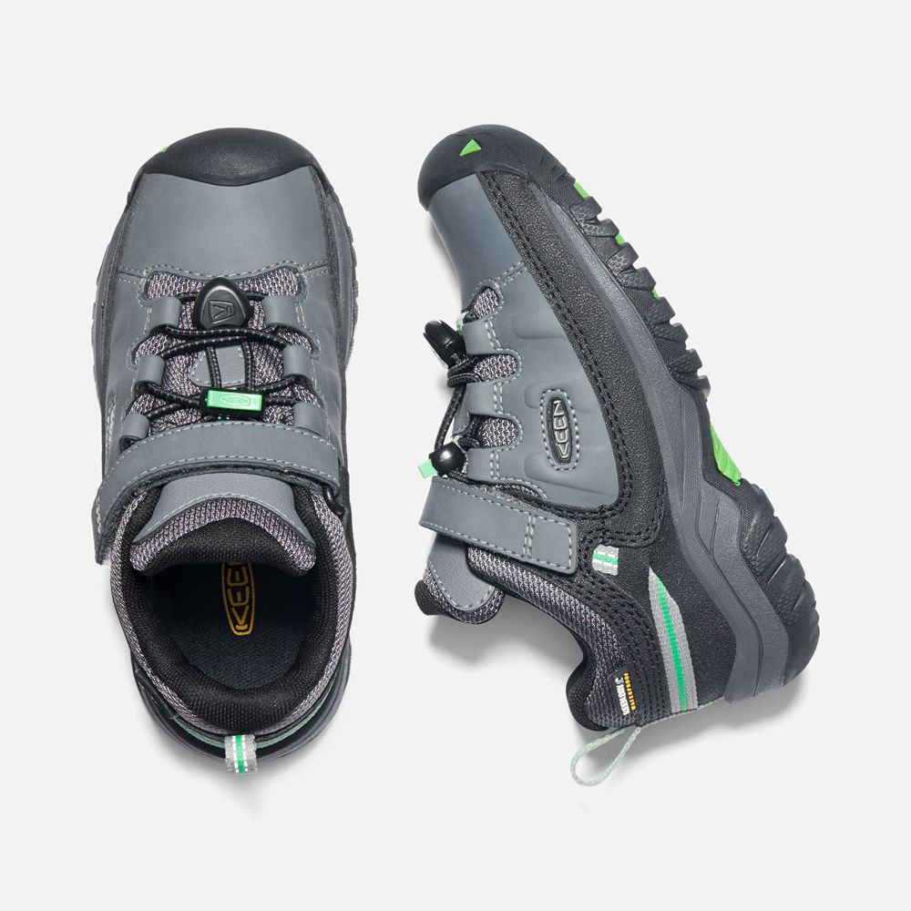 Chaussure de Randonnée Keen Enfant porno/Vert | Targhee Waterproof | ZFSQK-1294